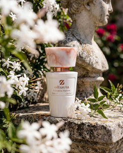 Flacon blanc Olfazeta by Chogan Millésime N°14 sur pierre, jasmin en fleurs et buste antique en fond